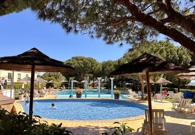Piscina partilhada em complexo turístico rodeado por pinheiros e zonas de lazer Albufeira Algarve