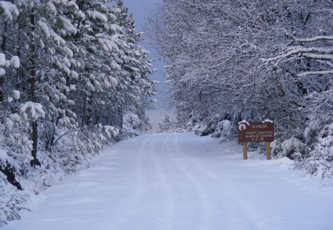 Casa em Campo do Gerês - Casa Montanha Gerês II Casa em Campo do Gerês - Casa Montanha Gerês II