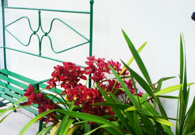 Quarto em Gerês - Quarto com banheira - Casa do Eido Quarto em Gerês - Quarto com banheira - Casa do Eido