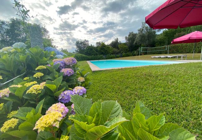 Casa rural em Amares - Meiro’s House Tourism and Nature Casa rural em Amares - Meiro’s House Tourism and Nature