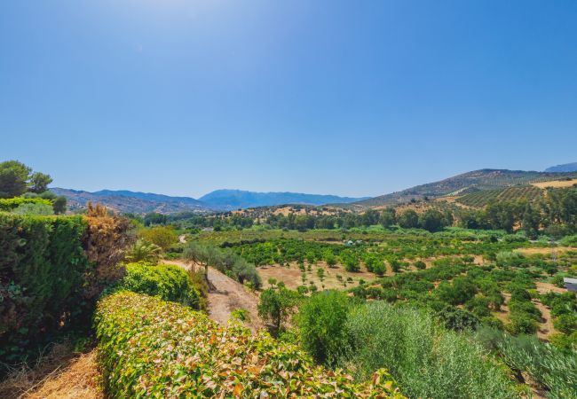 Casa rural em Guaro - Cubo's Casa Rio Grande Casa rural em Guaro - Cubo's Casa Rio Grande