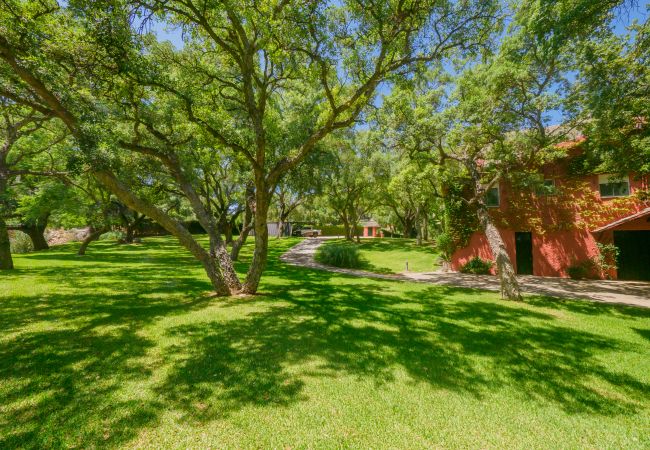 Casa rural em Coín - Cubo's Finca La Fuente del Pedregal Casa 4 Casa rural em Coín - Cubo's Finca La Fuente del Pedregal Casa 4