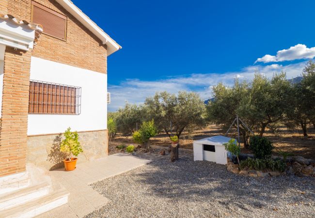 Casa rural em Alhaurín el Grande - Cubo's Villa Ainhoa Casa rural em Alhaurín el Grande - Cubo's Villa Ainhoa