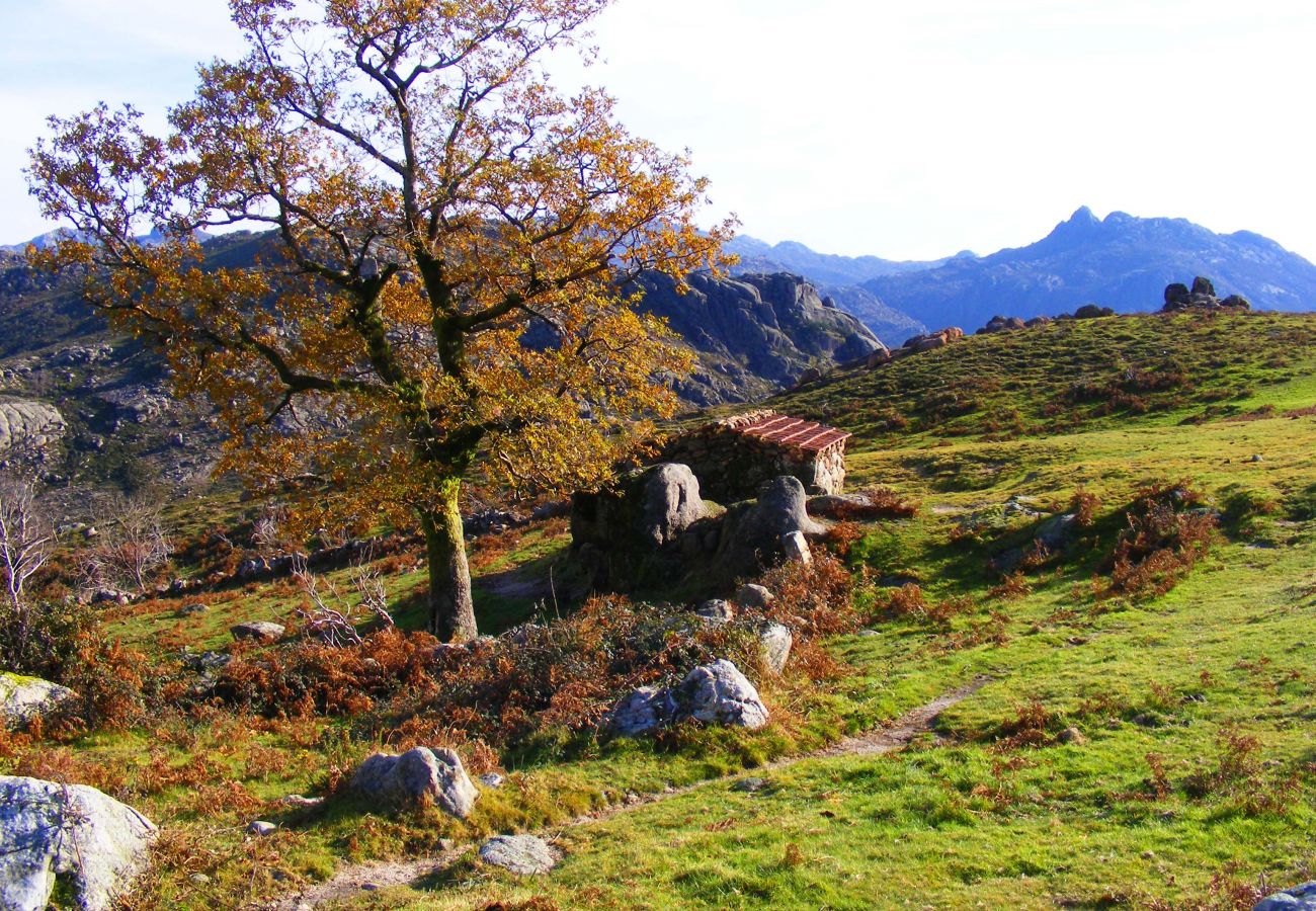 Bungalow in Gerês - Cabaninha da Ermida - Casa do Criado Bungalow in Gerês - Cabaninha da Ermida - Casa do Criado