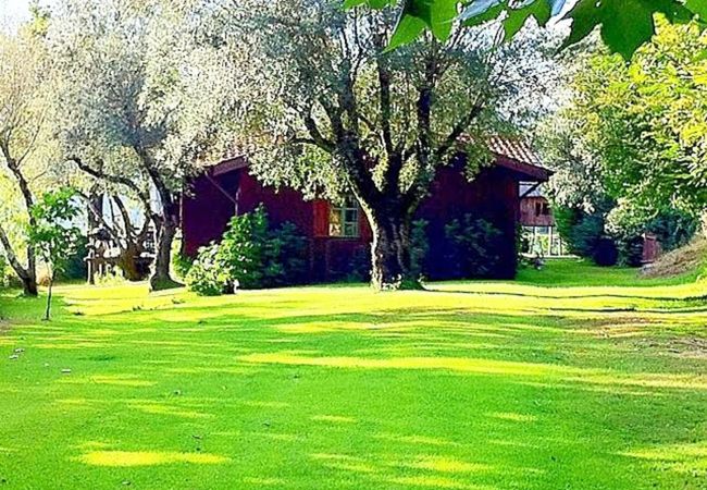 Cottage in Vieira do Minho - Country House Gerês Cottage in Vieira do Minho - Country House Gerês