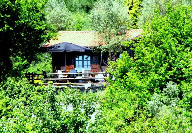 Cottage in Vieira do Minho - Country House Gerês Cottage in Vieira do Minho - Country House Gerês