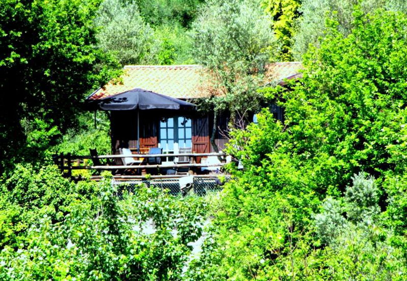 Cottage in Vieira do Minho - Country House Gerês Cottage in Vieira do Minho - Country House Gerês