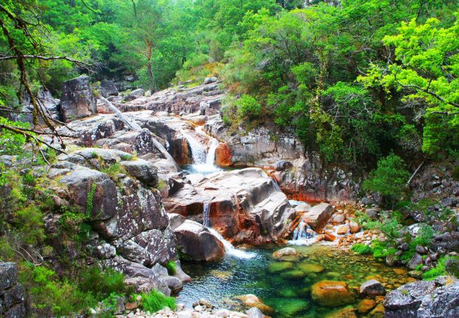House in Vieira do Minho - Quinta de Jaco - Casa Rio House in Vieira do Minho - Quinta de Jaco - Casa Rio