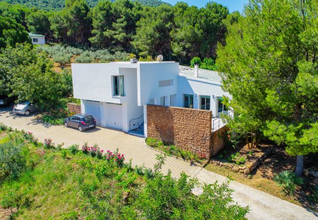 Villa in Alhaurín el Grande - Cubo's Villa El Tejar Villa in Alhaurín el Grande - Cubo's Villa El Tejar