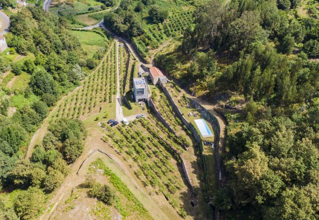 Cottage in Melgaço - Melgaço Alvarinho Houses T5 Cottage in Melgaço - Melgaço Alvarinho Houses T5